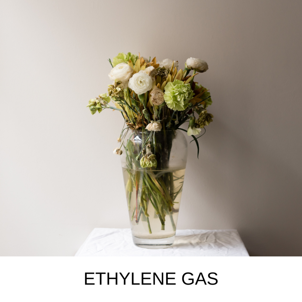 Flower Care - Ethylene Gas